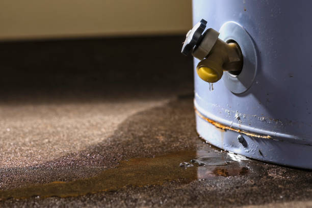 Best Flood restoration services  in Gibsonburg, OH