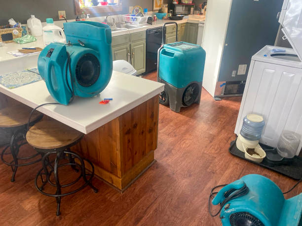 Best Sewage cleanup and water damage restoration  in Gibsonburg, OH