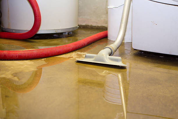Best Water damage cleanup near me  in Gibsonburg, OH