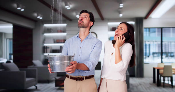 Best Fire Damage Restoration  in Gibsonburg, OH