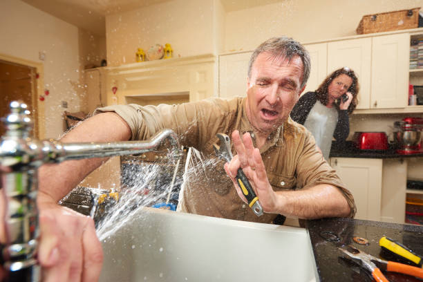Best Local water damage restoration  in Gibsonburg, OH